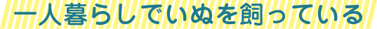 一人暮らしでいぬを飼っている