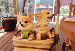 パッドロッカーお客様の声①